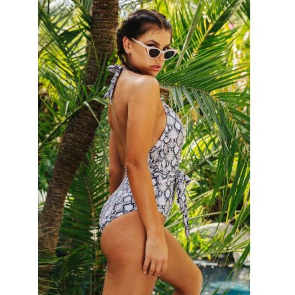 The Python - Picture 2 of 3